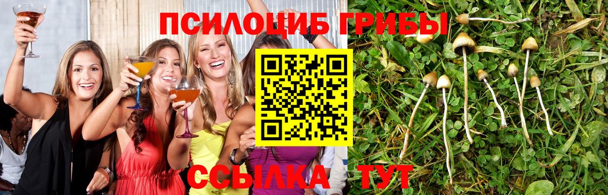 Псилоцибиновые грибы MAGIC MUSHROOMS Тимашёвск
